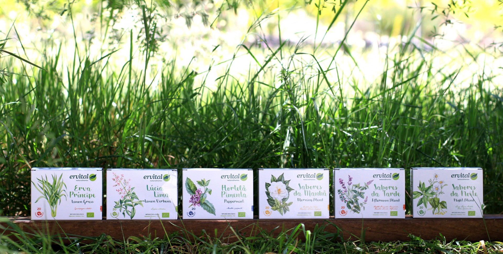 Conjunto de 6 infusões Bio em saquetas Conjunto de 6 infusões Bio em saquetas