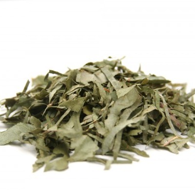 Eucalipto - saco 30g