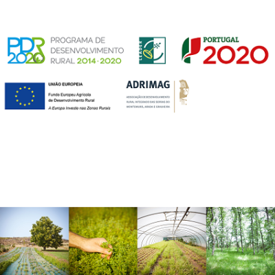 Melhoria da capacidade de transformação e comercilizção das PAM obtidas em Modo de produção Biológico