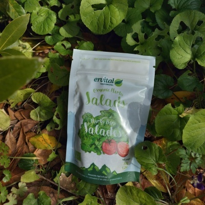 Mistura para Saladas - embalagem doypack 35g