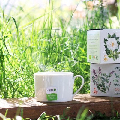 Sabores da Manhã - Infusão BIO - 20 saquetas