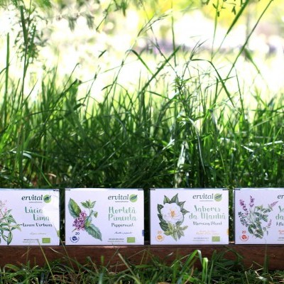 Conjunto de 6 infusões Bio em saquetas