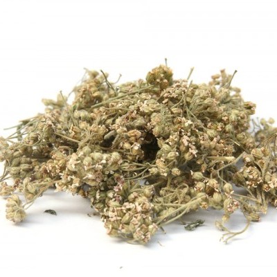 Milefólio - saco 30g