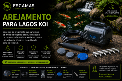 Sistema de arejamento para lagos koi com compressor, mangueira, difusores e manifold junto a lago com peixes koi