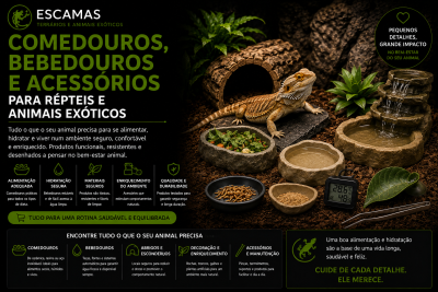 Comedouros e bebedouros para répteis com decoração natural e termómetro digital.