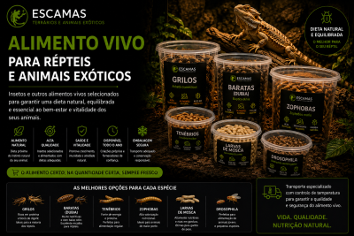 Embalagens de alimentos vivos para répteis ESCAMAS com vários tipos de insetos ao lado de um réptil sobre fundo natural