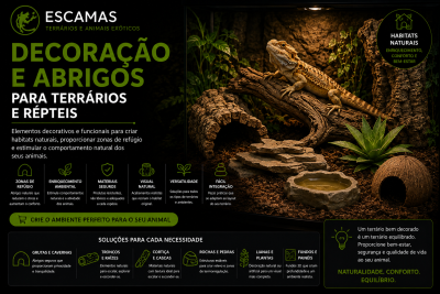Decoração e abrigos para terrários e répteis com elementos naturais como troncos, rochas e plantas artificiais