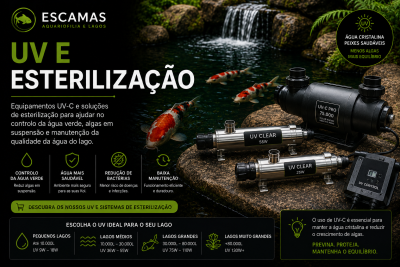 Equipamentos UV-C de esterilização junto a lago com peixes koi e rochas