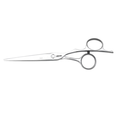 Tesoura de cabelo prateada em aço inoxidável com parafuso ajustável