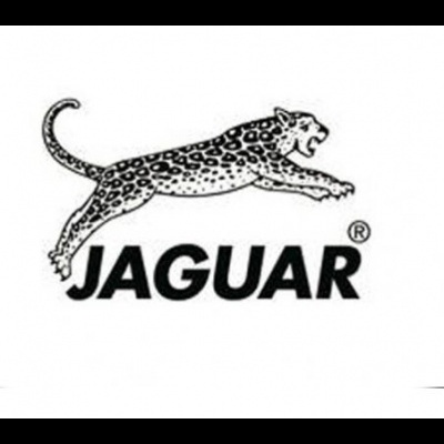 Logotipo da marca JAGUAR com um jaguar negro a saltar