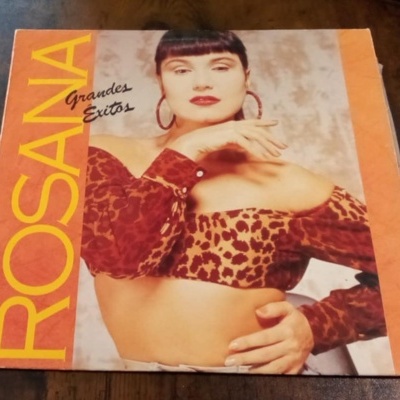 Capa de vinil com texto ROSANA e Grandes Êxitos e foto de mulher com blusa estampada.