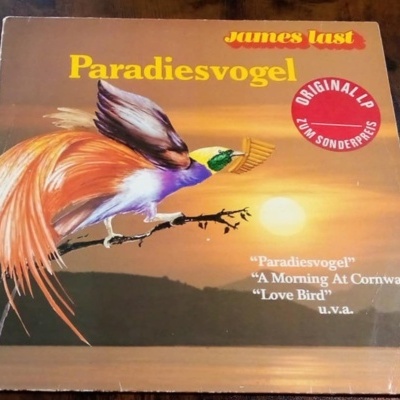 Capa de disco vinil com pássaro colorido e pôr do sol