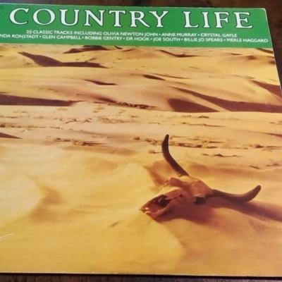 Capa de vinil do álbum COUNTRY LIFE com deserto e crânio de animal.