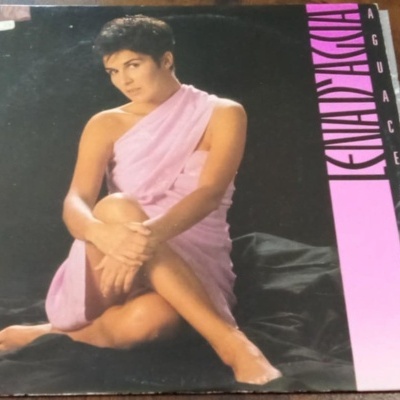 Capa de disco vinil com mulher de vestido rosa e texto LENA DAGUA AGUACEIRO