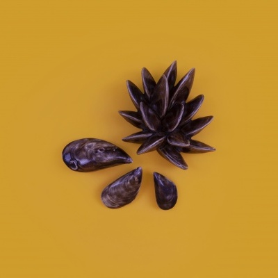 Peças decorativas em madeira escura com formato de folhas e pétalas