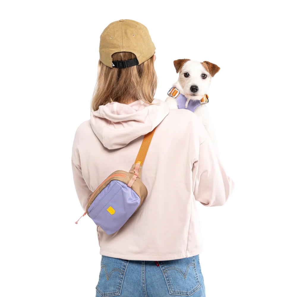 Alpha 360 - Bolsa - lavanda Pessoa de costas com hoodie rosa claro e boné bege a segurar cão branco e castanho com coleira lilás