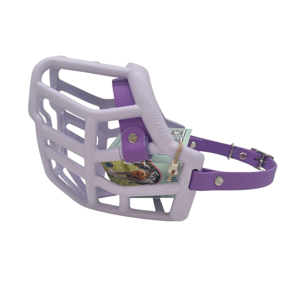 Tolly - The Muzzle Movement Focinheira para cão lilás com correia roxa e etiqueta