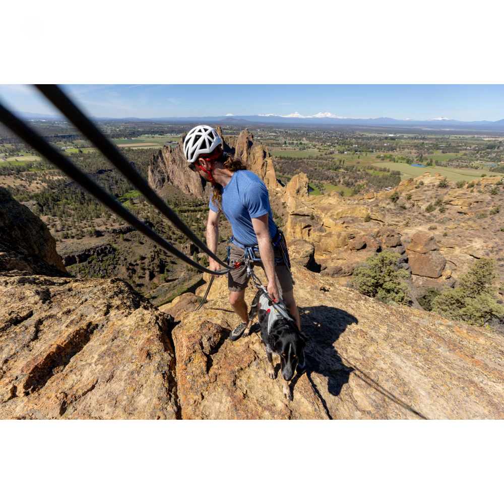 Doubleback™ Full Body Dog Harness Homem escalando rocha com cão e cordas, vista de montanhas e vegetação