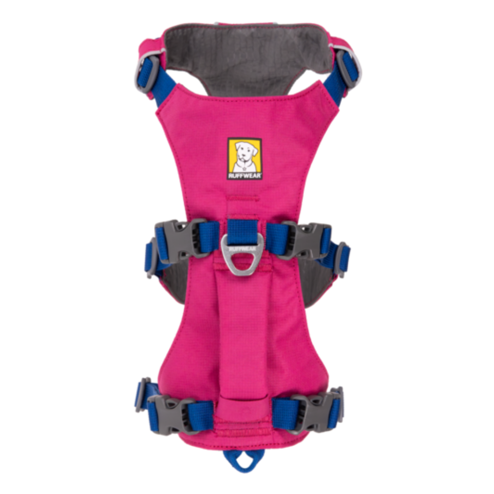 Flagline™ Dog Harness with Handle - Alpenglow Pink - Ruffwear Arnês para cão cor-de-rosa com detalhes azuis e etiqueta RUFFWEAR