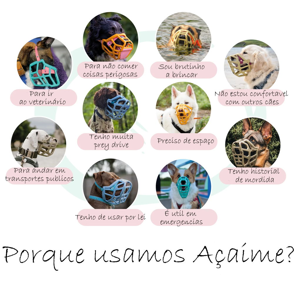 Neli - The Muzzle Movement Cães com focinheiras coloridas e texto explicativo em português sobre fundo branco