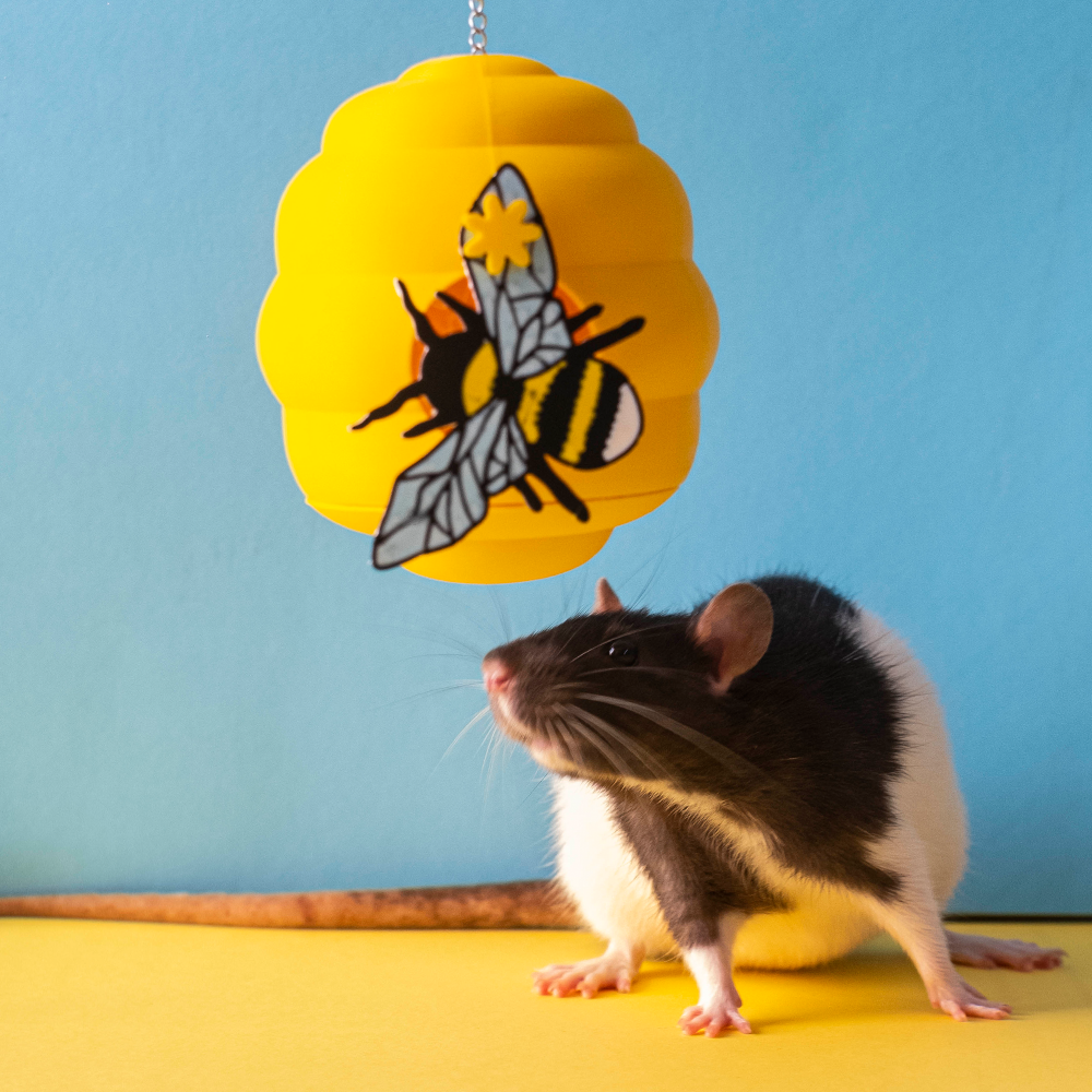 Colmeia de Abelhas (bee hive) foraging toy Abelha amarela e preta suspensa sobre rato preto e branco