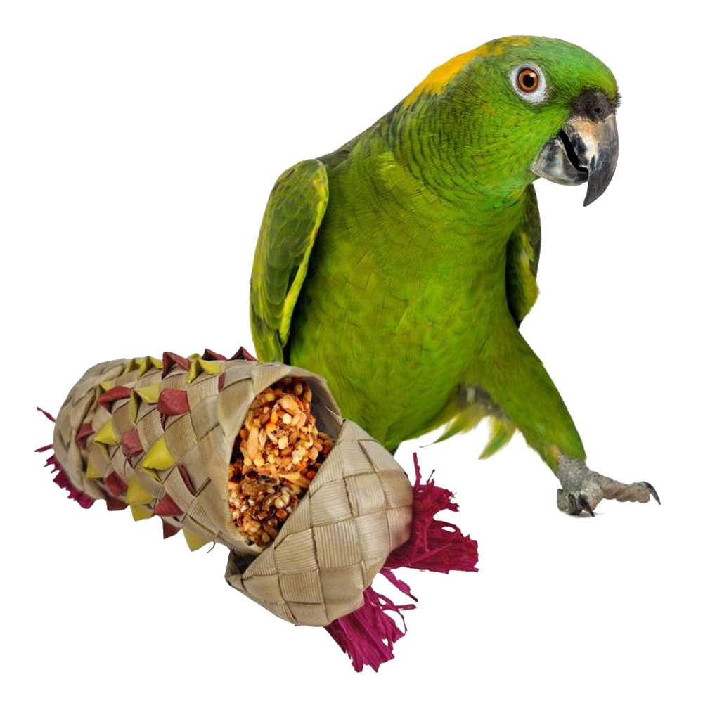 Cilidro colorido para foraging Papagaio verde ao lado de brinquedo cónico feito de fibras naturais com sementes e franjas vermelhas