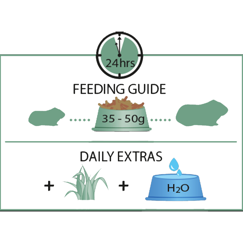Cavia Complete - Versele-Laga Guia de alimentação para porquinho-da-índia com quantidade 35-50 g e extras diários de vegetação e água.