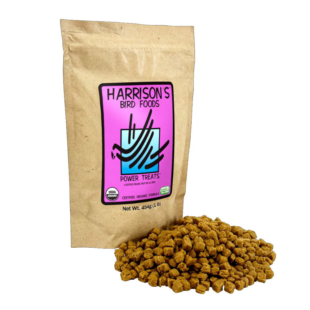Harrison's Guloseimas Saudáveis Pacote de alimento para pássaros castanho com etiqueta rosa e azul com texto HARRISON'S BIRD FOODS POWER TREATS e petiscos dourados ao lado