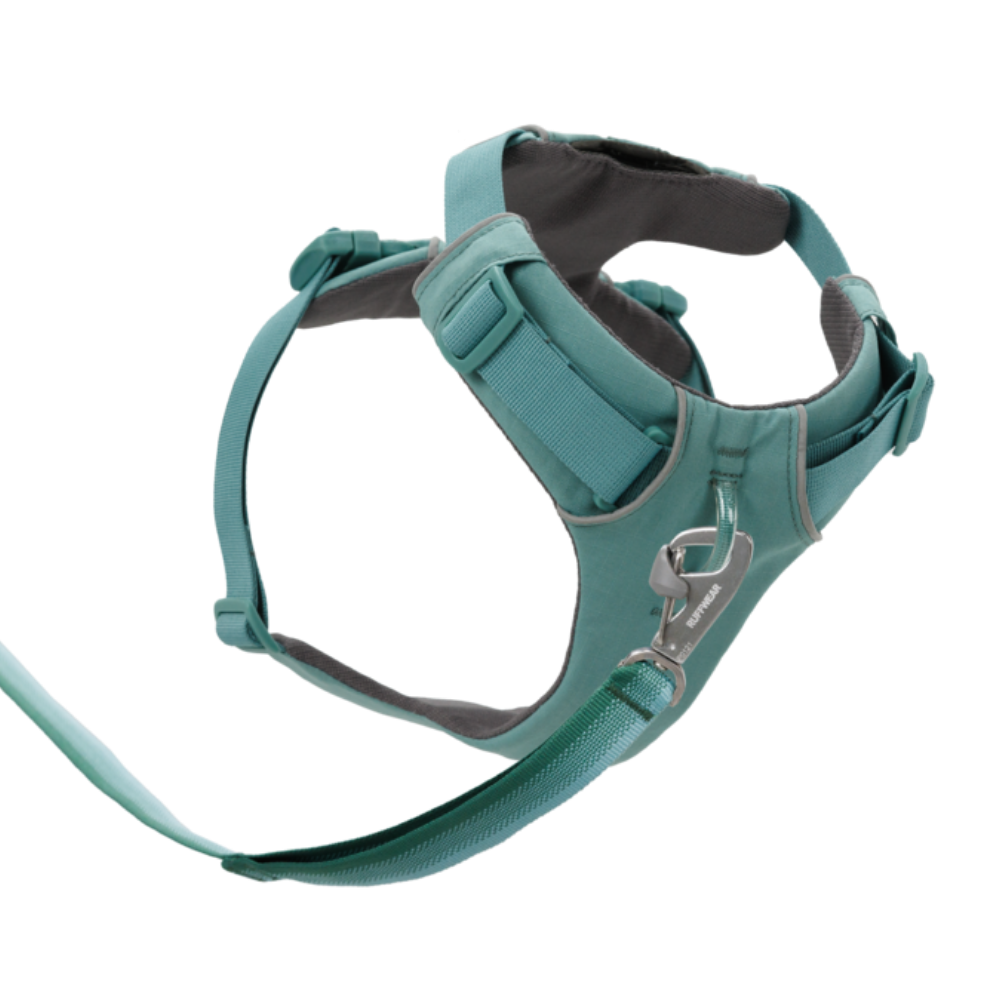 Front Range® Dog Harness - River Rock Green - Ruffwear Peitoral para cão azul-turquesa com trela e mosquetão prateado