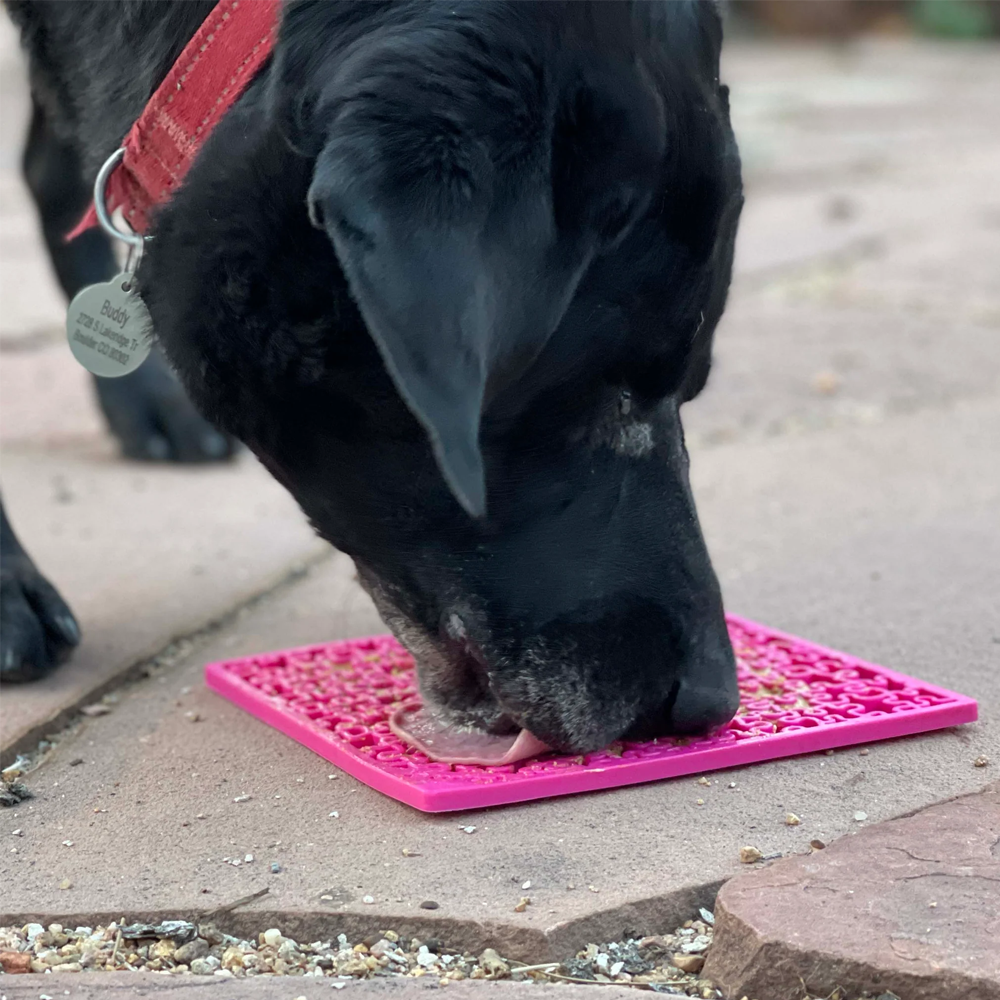 Tapete de lamber Puzzle eMat! LickMat Tapete de alimentação rosa para cães em chão de pedra com cão a comer.