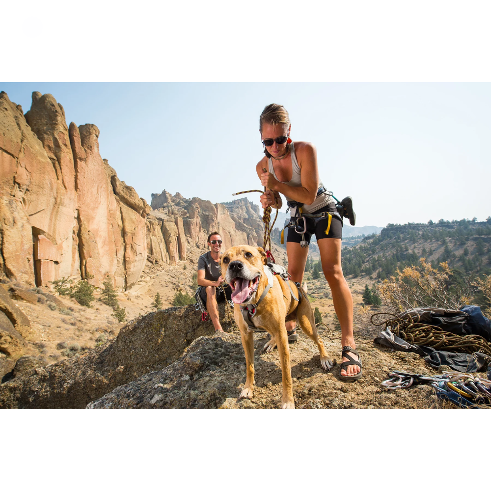 Doubleback™ Full Body Dog Harness Dois praticantes de escalada com cão num terreno rochoso e material de escalada ao lado.