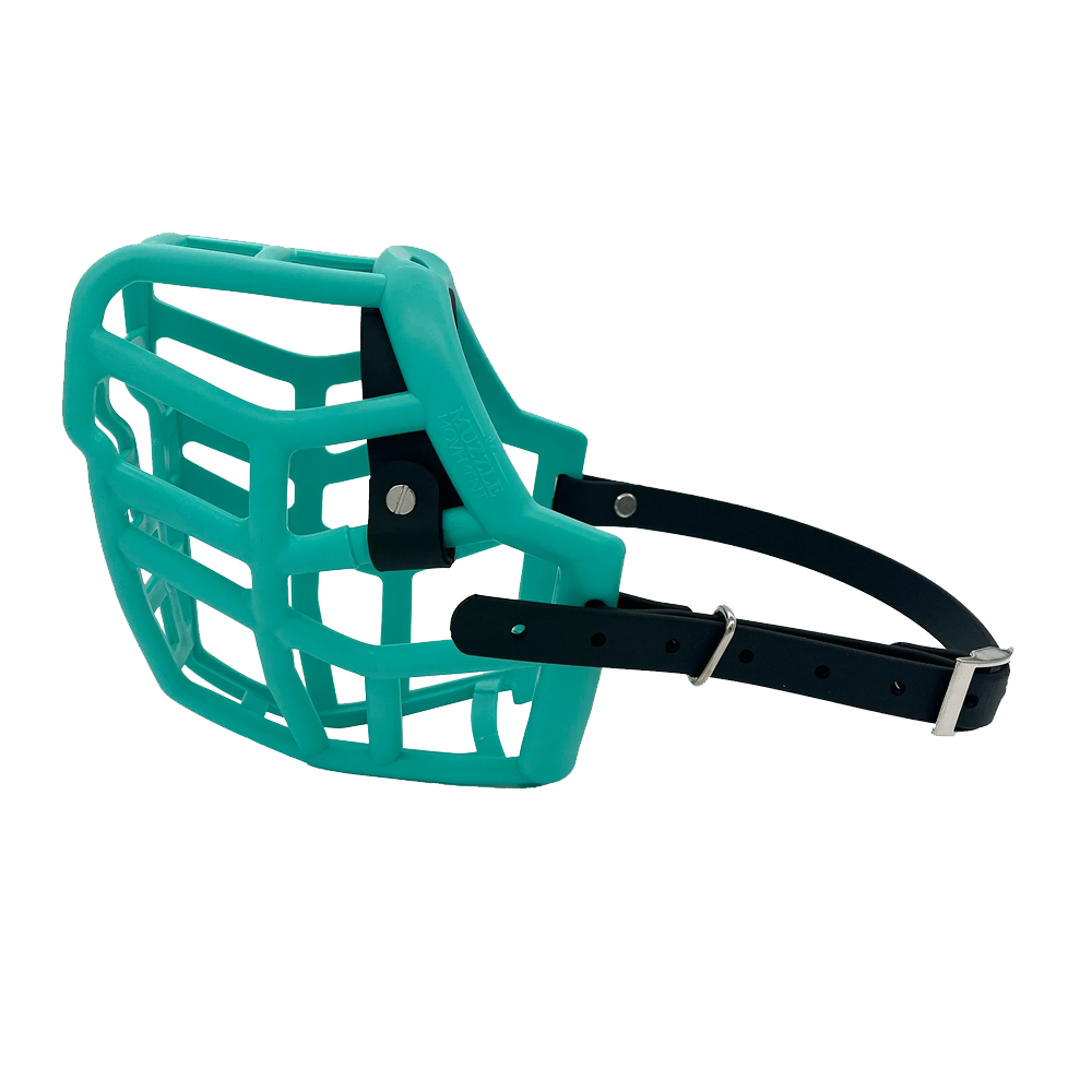 Neli - The Muzzle Movement Focinho tipo cesto turquesa para cão com correia preta