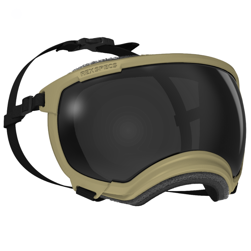 Óculos - RexSpecs V2 - Verde-oliva "Coyote" Óculos de proteção bege com lente preta e faixa preta ajustável