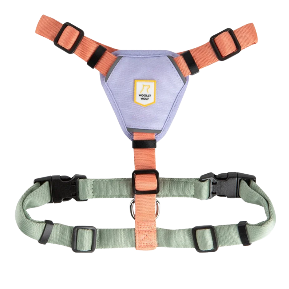 Arnês para cão Color block rosa-salmão misto - Wolly Wolf Arnês para cão em tecido verde-água, laranja e roxo claro com etiqueta WOOFLET WOLF