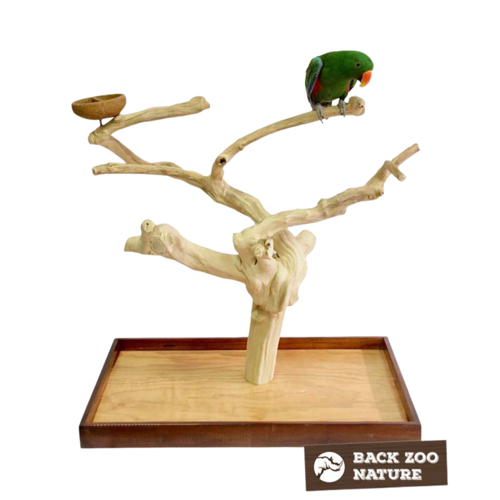 Suporte para actividades - Poleito Java - Premium - Back Zoo Nature Suporte para pássaros em madeira clara com pássaro verde e base retangular