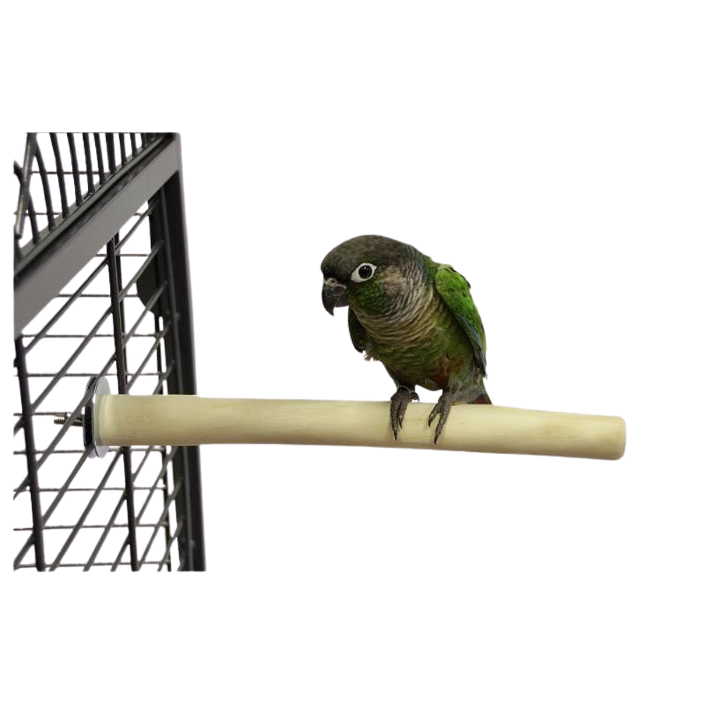 Poleiro de java Pássaro verde e castanho num poleiro bege junto a uma gaiola de metal cinzento