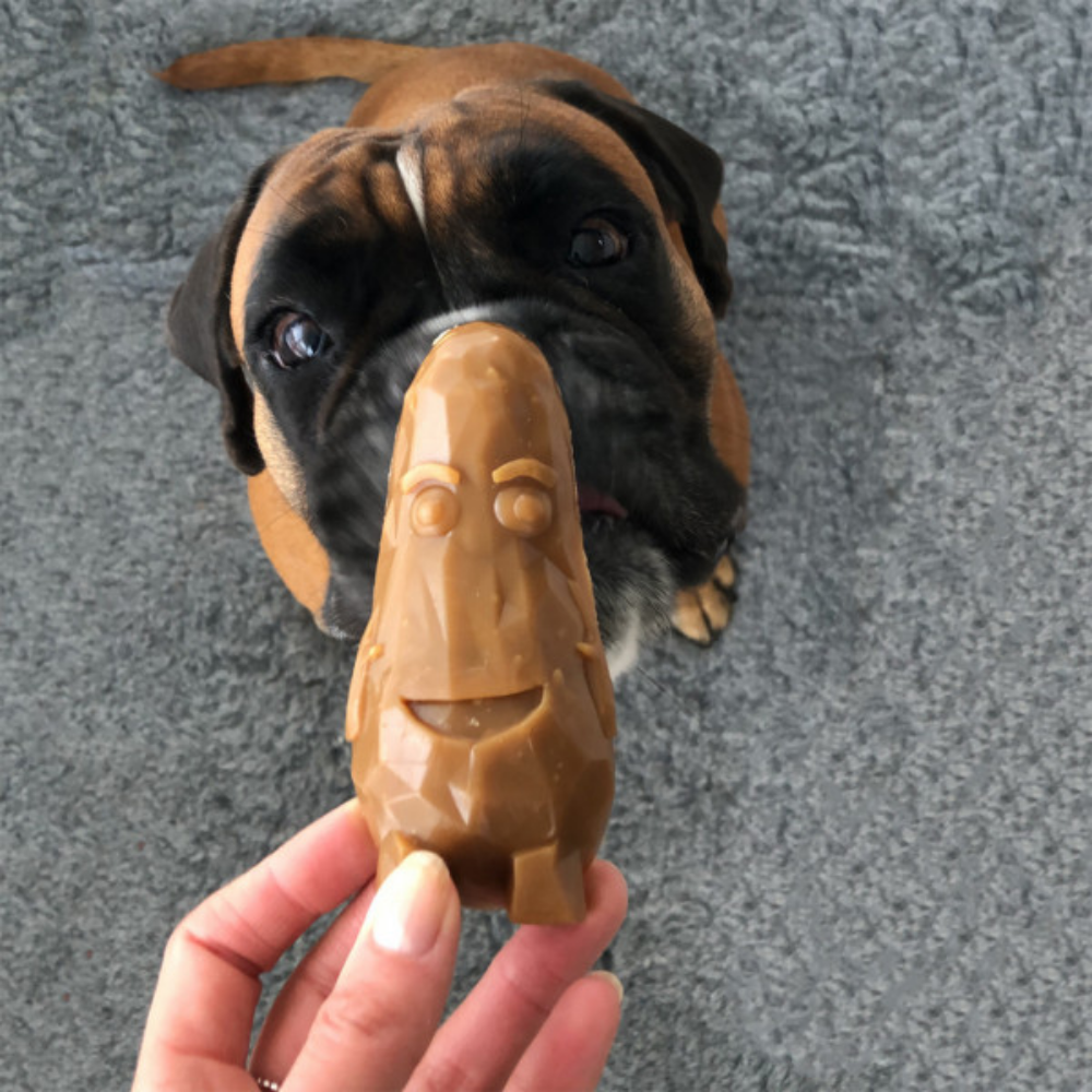 Veggie Friends - Garden Bites - Snacks de Vegetais para Cães Brinquedo em forma de personagem sorridente em plástico castanho segurado em frente a um cão boxer.