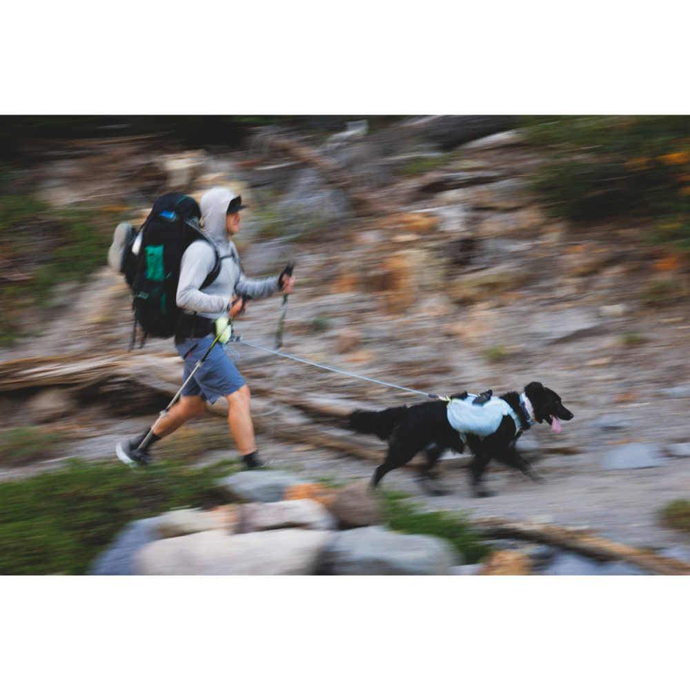 Hitch Hiker™ Leash - Sunny Lime - Ruffwear Homem caminhando com mochila e cão com colete azul em trilho rochoso
