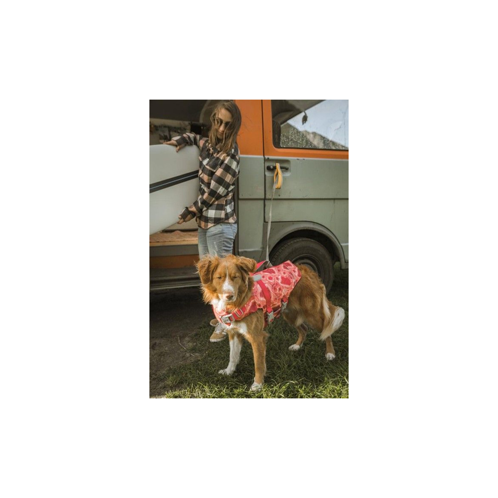 Life Savior ECO Life Vest - coral Cão com roupa rosa junto a carrinha cinzenta e pessoa