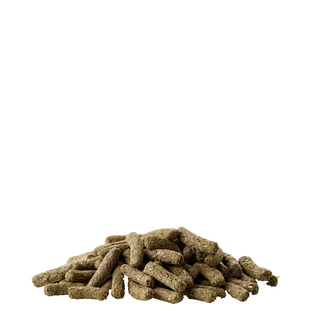Cavia Complete - Versele-Laga Pellets de alimento animal castanhos sobre fundo preto