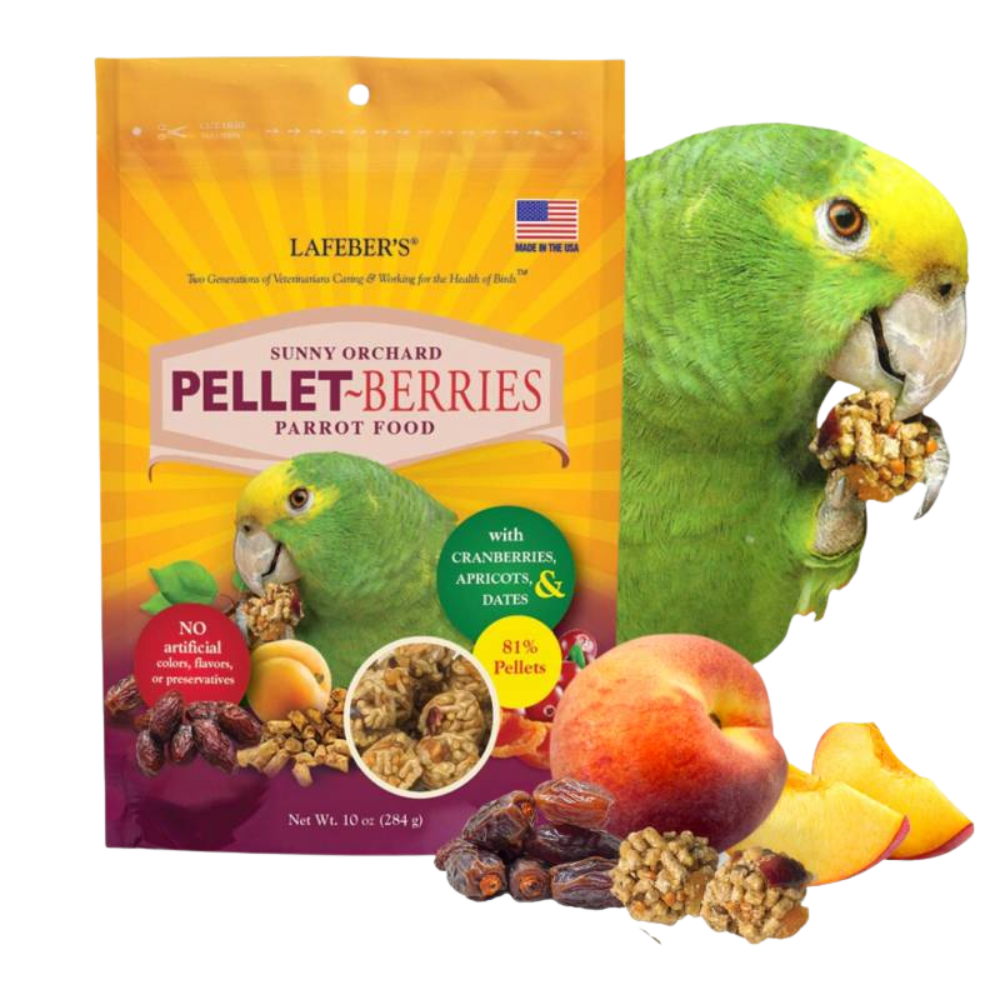 Lafeber Pellet-Berries Sunny Orchard - Papagaio Comida para papagaios LAFEBER'S SUNNY ORCHARD PELLET-BERRIES com frutas secas e pellets, ao lado de papagaio verde a comer