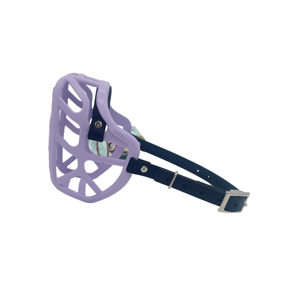 Mia - The Muzzle Movement Focinho para cão lilás com correias azuis
