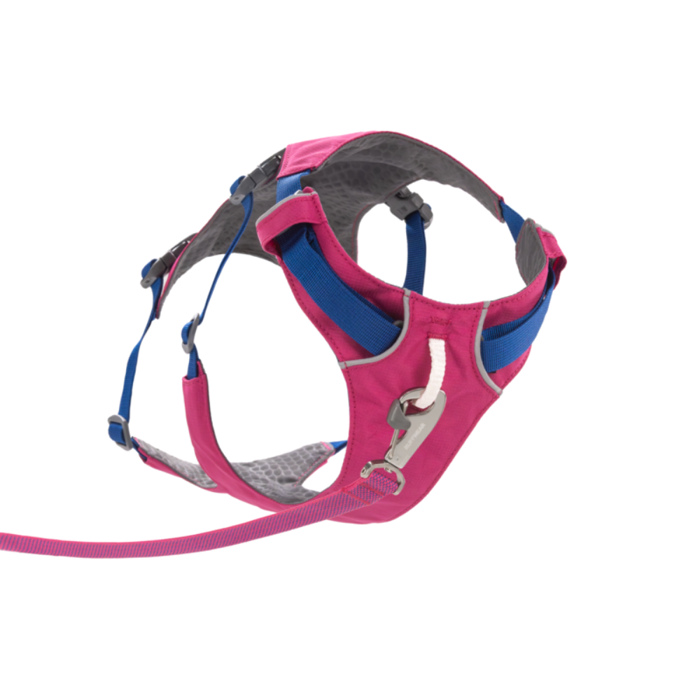 Flagline™ Dog Harness with Handle - Alpenglow Pink - Ruffwear Peitoral para cão rosa com tiras azuis e interior cinzento acolchoado com trela rosa