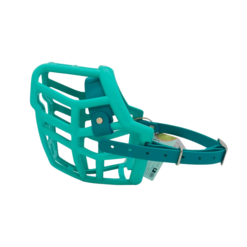 Neli - The Muzzle Movement Focinho para cão azul turquesa em plástico rígido com correia ajustável