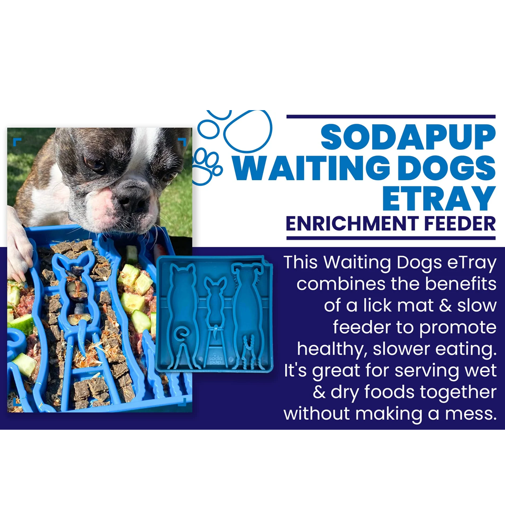 SlowFeeder Waiting Etray -Sodapup Esvaziador de comida azul para cães com texto explicativo e cão a comer