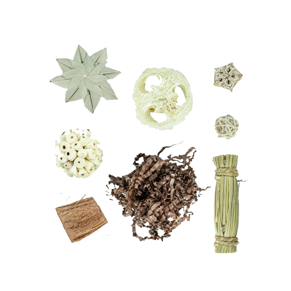 Zoo Nature Triangulo de canto de Forrageamento Conjunto decorativo de artigos naturais em várias formas e texturas numa superfície branca