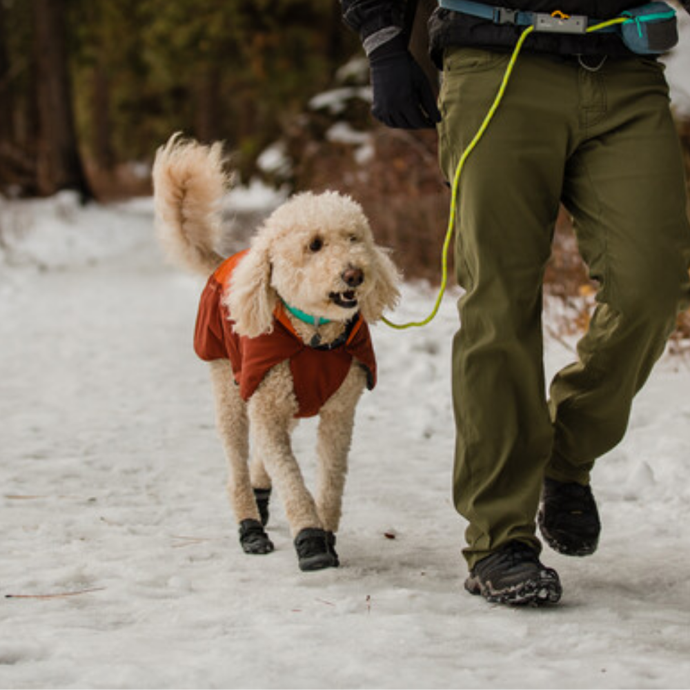 GRIP TREX™ SHOES - Obsidian Black Cão com casaco vermelho e botas pretas a caminhar na neve ao lado de pessoa com calças verdes.