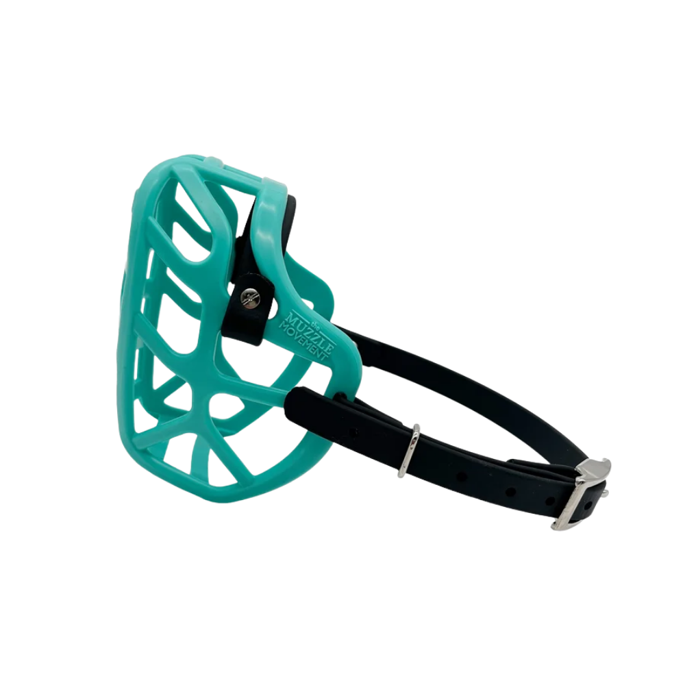 Mia - The Muzzle Movement Focinho de cão verde água com tiras pretas ajustáveis