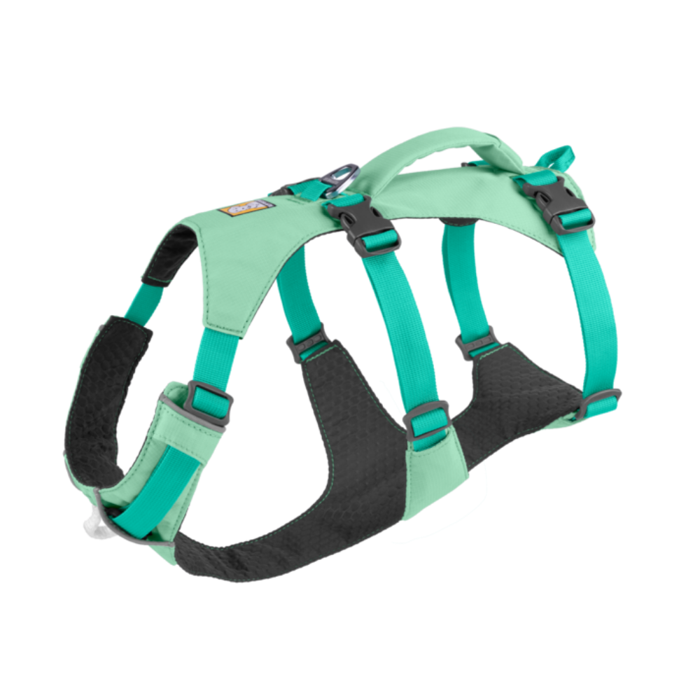 Flagline™ Dog Harness with Handle - Sage Green - Ruffwear Arnês para cão verde e azul turquesa com partes acolchoadas pretas