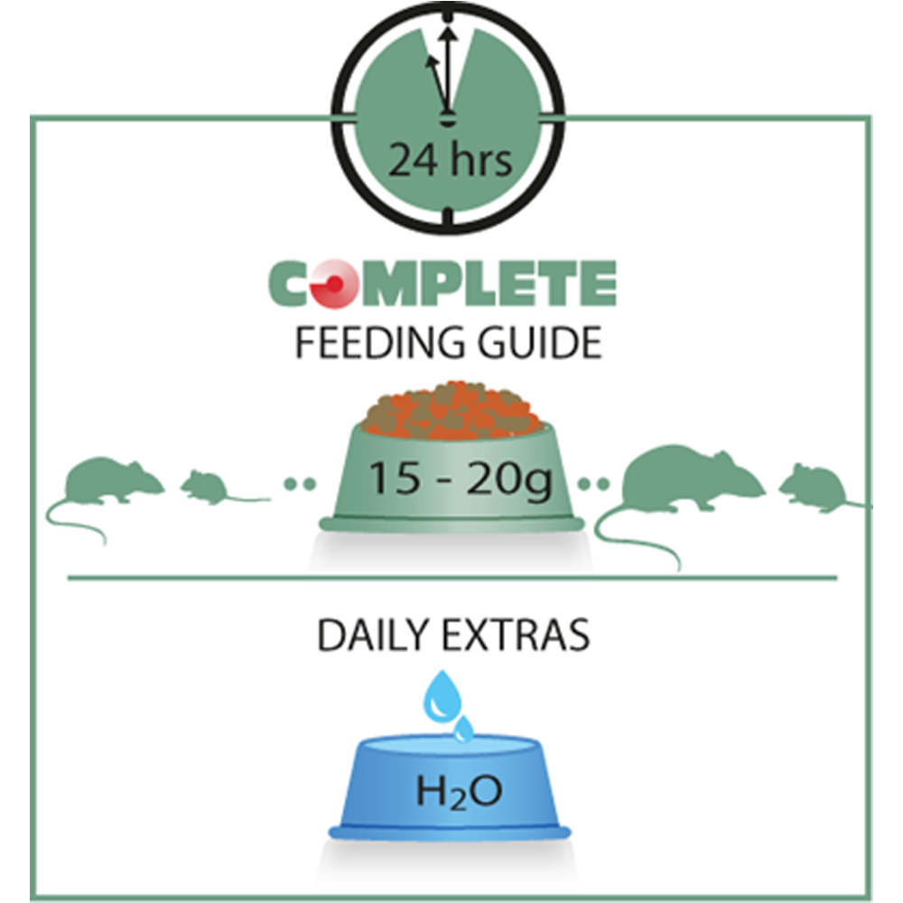 Rat & Mouse Complete - Versele-Laga Guia de alimentação completa para ratos com ração e água
